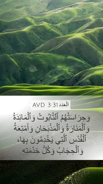 اَلْعَدَد 3:31 AVD Bible Verse Image