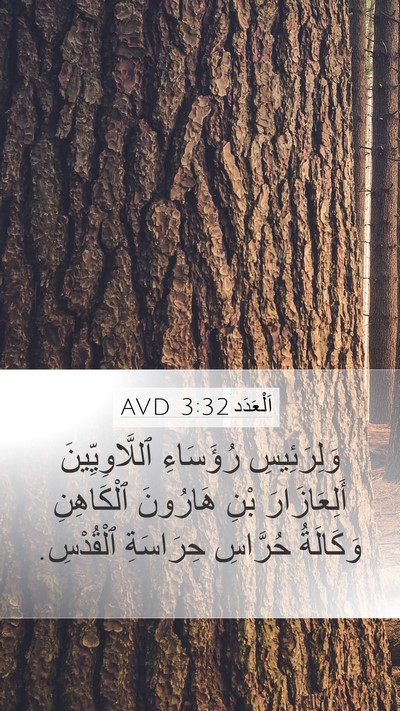اَلْعَدَد 3:32 AVD Bible Verse Image