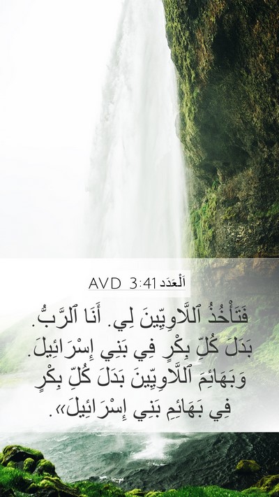 اَلْعَدَد 3:41 AVD Bible Verse Image