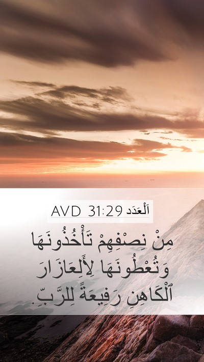 اَلْعَدَد 31:29 AVD Bible Verse Image