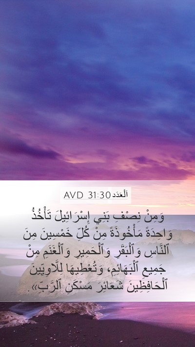 اَلْعَدَد 31:30 AVD Bible Verse Image