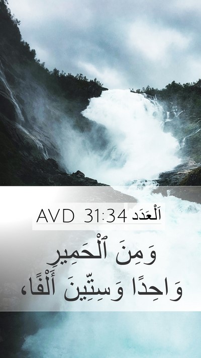 اَلْعَدَد 31:34 AVD Mobile Phone Wallpaper - وَمِنَ ٱلْحَمِيرِ - Mobile Bible Verse Wallpaper