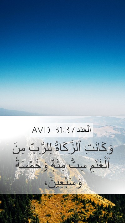 اَلْعَدَد 31:37 AVD Mobile Phone Wallpaper - وَكَانَتِ ٱلزَّكَاةُ - Mobile Bible Verse Wallpaper