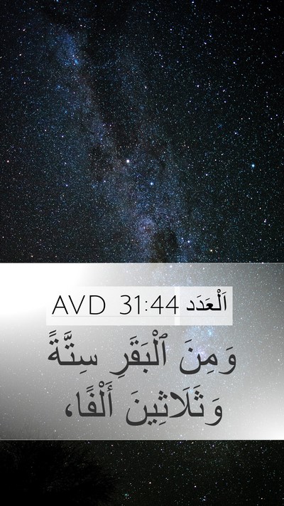 اَلْعَدَد 31:44 AVD Mobile Phone Wallpaper - وَمِنَ ٱلْبَقَرِ سِتَّةً - Mobile Bible Verse Wallpaper