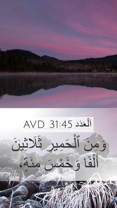 اَلْعَدَد 31:45 AVD Mobile Phone Wallpaper - وَمِنَ ٱلْحَمِيرِ - Mobile Bible Verse Wallpaper