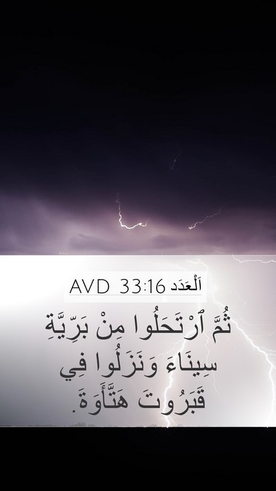اَلْعَدَد 33:16 AVD Mobile Phone Wallpaper - ثُمَّ ٱرْتَحَلُوا مِنْ - Mobile Bible Verse Wallpaper