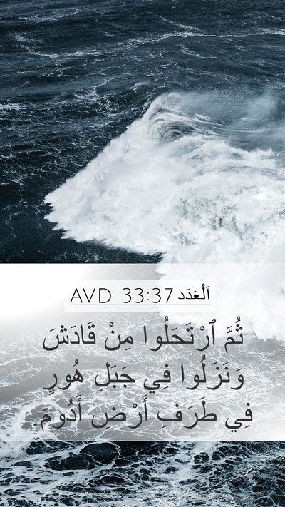 اَلْعَدَد 33:37 AVD Bible Verse Image