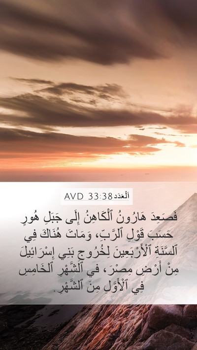 اَلْعَدَد 33:38 AVD Bible Verse Image