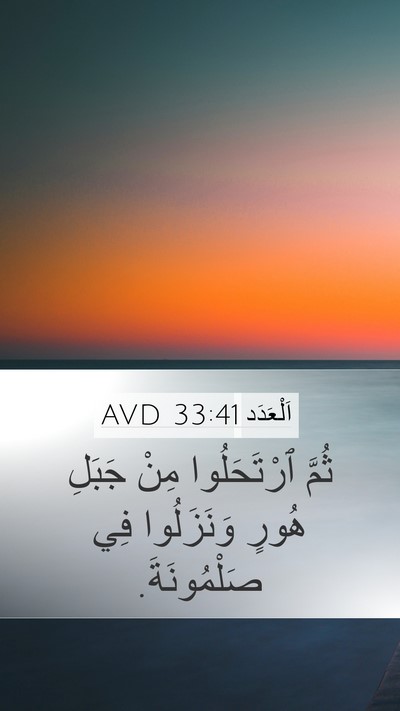 اَلْعَدَد 33:41 AVD Bible Verse Image