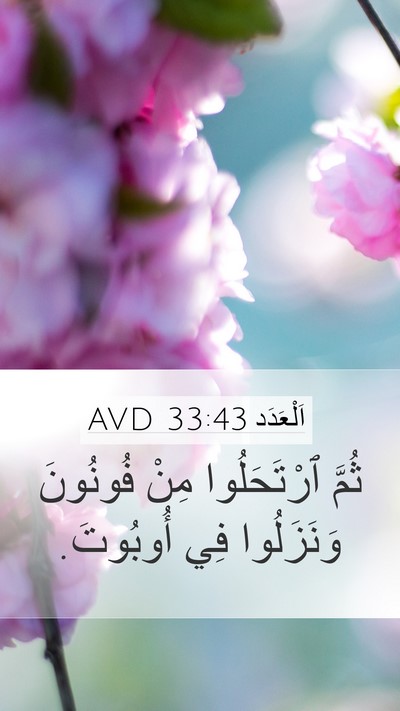 اَلْعَدَد 33:43 AVD Bible Verse Image
