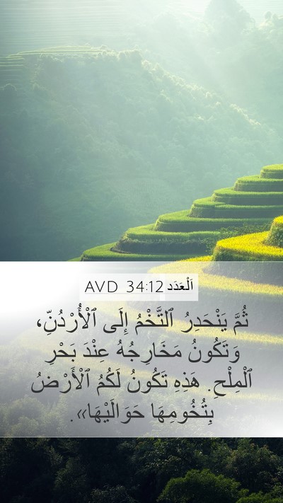 اَلْعَدَد 34:12 AVD Bible Verse Image