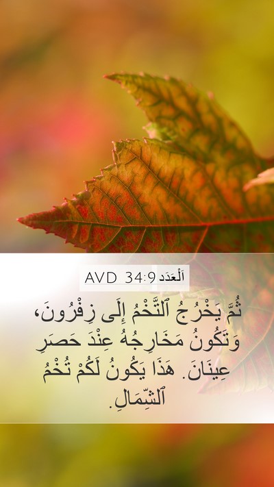 اَلْعَدَد 34:9 AVD Mobile Phone Wallpaper - ثُمَّ يَخْرُجُ ٱلتَّخْمُ - Mobile Bible Verse Wallpaper