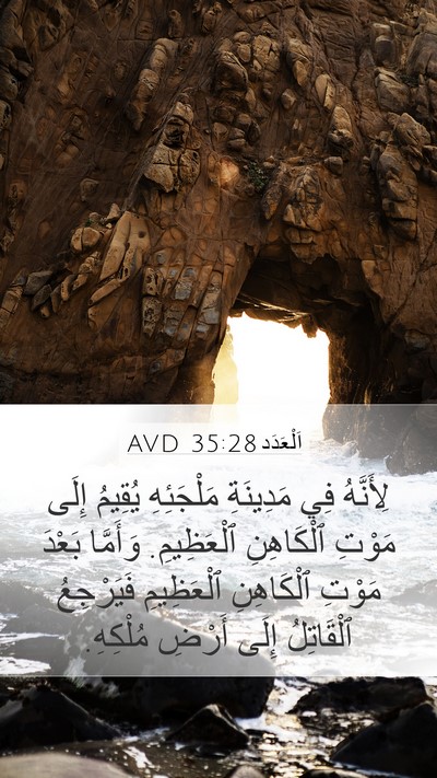 اَلْعَدَد 35:28 AVD Bible Verse Image