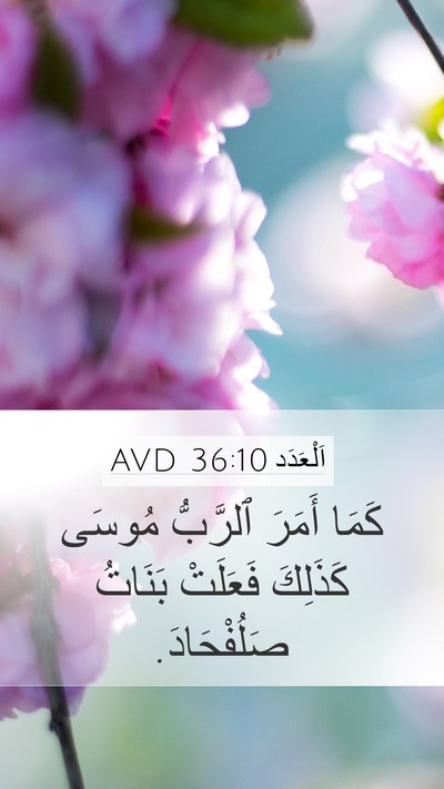 اَلْعَدَد 36:10 AVD Bible Verse Image