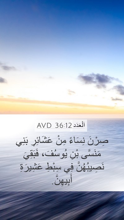 اَلْعَدَد 36:12 AVD Bible Verse Image