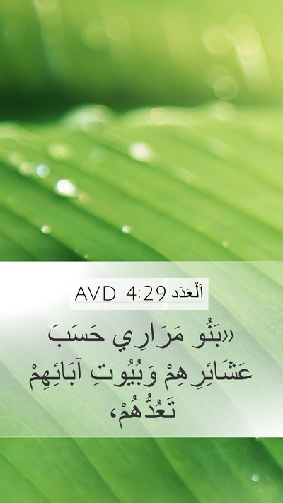 اَلْعَدَد 4:29 AVD Bible Verse Image