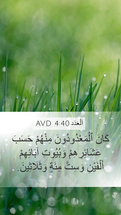 اَلْعَدَد 4:40 AVD Mobile Phone Wallpaper - كَانَ ٱلْمَعْدُودُونَ - Mobile Bible Verse Wallpaper