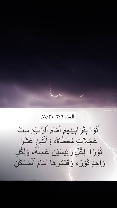 اَلْعَدَد 7:3 AVD Mobile Phone Wallpaper - أَتَوْا بِقَرَابِينِهِمْ - Mobile Bible Verse Wallpaper