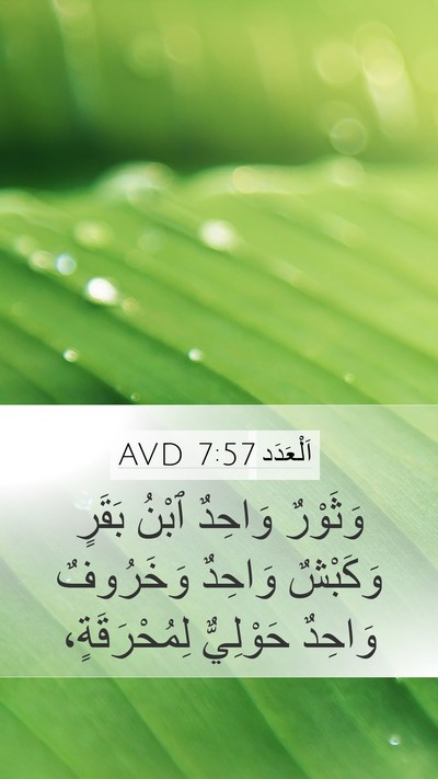 اَلْعَدَد 7:57 AVD Mobile Phone Wallpaper - وَثَوْرٌ وَاحِدٌ ٱبْنُ - Mobile Bible Verse Wallpaper