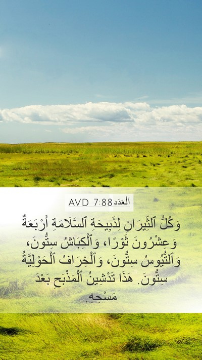 اَلْعَدَد 7:88 AVD Bible Verse Image