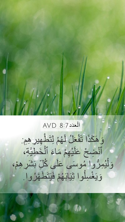 اَلْعَدَد 8:7 AVD Bible Verse Image