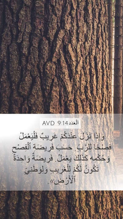 اَلْعَدَد 9:14 AVD Bible Verse Image