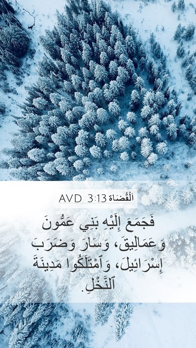 اَلْقُضَاة 3:13 AVD Bible Verse Image