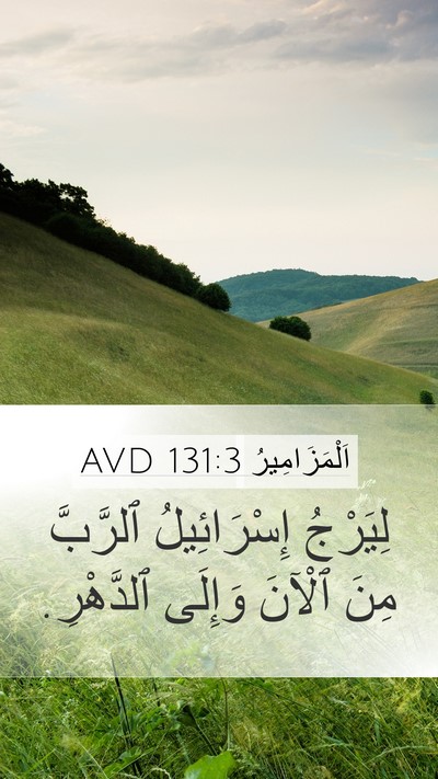 اَلْمَزَامِيرُ 131:3 AVD Mobile Phone Wallpaper - لِيَرْجُ إِسْرَائِيلُ - Mobile Bible Verse Wallpaper