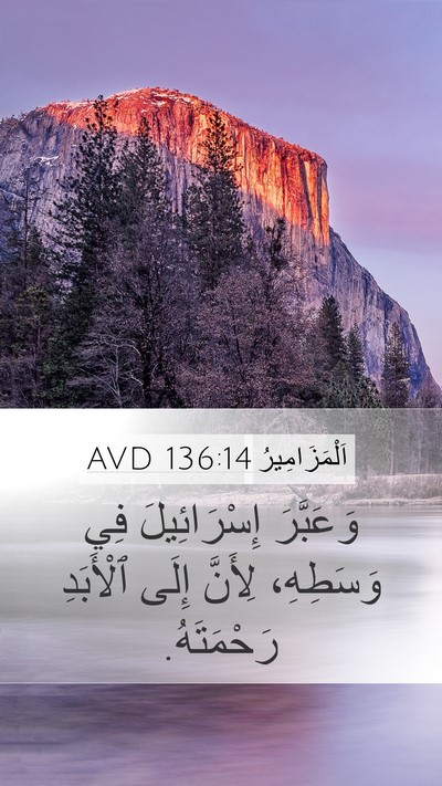 اَلْمَزَامِيرُ 136:14 AVD Mobile Phone Wallpaper - وَعَبَّرَ إِسْرَائِيلَ - Mobile Bible Verse Wallpaper