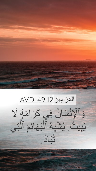 اَلْمَزَامِيرُ 49:12 AVD Bible Verse Image