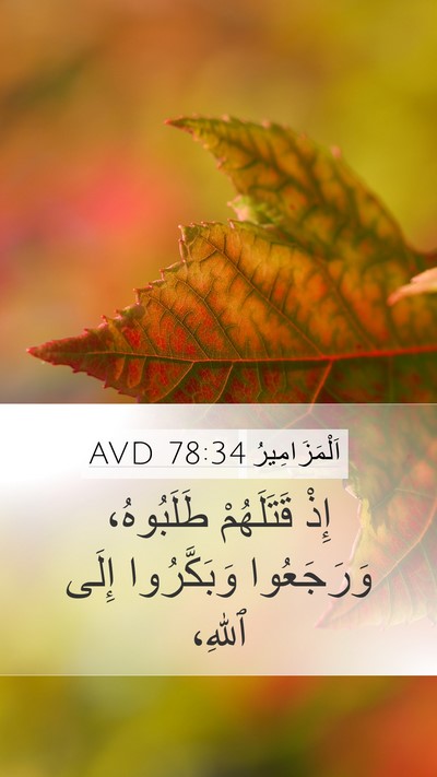 اَلْمَزَامِيرُ 78:34 AVD Bible Verse Image