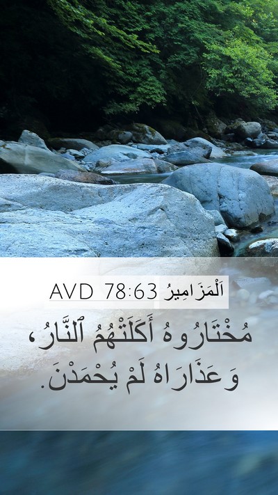 اَلْمَزَامِيرُ 78:63 AVD Bible Verse Image