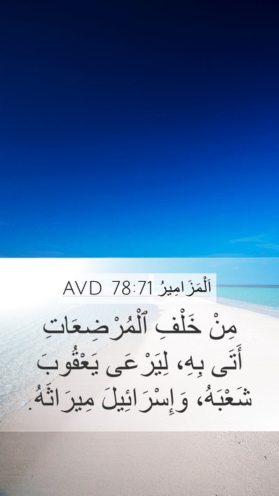 اَلْمَزَامِيرُ 78:71 AVD Bible Verse Image