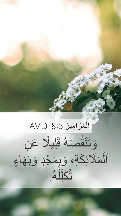 اَلْمَزَامِيرُ 8:5 AVD Bible Verse Image