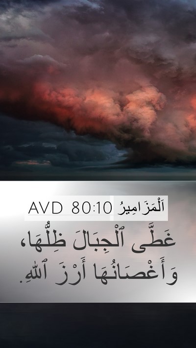 اَلْمَزَامِيرُ 80:10 AVD Bible Verse Image