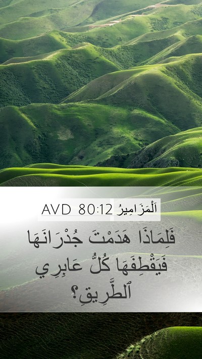 اَلْمَزَامِيرُ 80:12 AVD Bible Verse Image