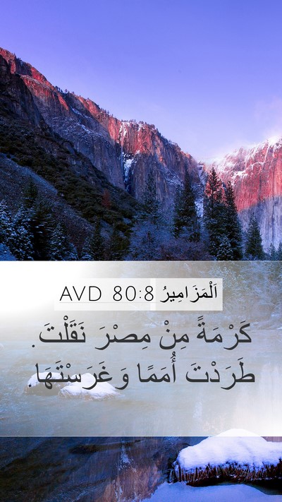 اَلْمَزَامِيرُ 80:8 AVD Bible Verse Image