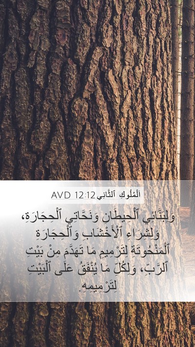 اَلْمُلُوكِ ٱلثَّانِي 12:12 AVD Bible Verse Image