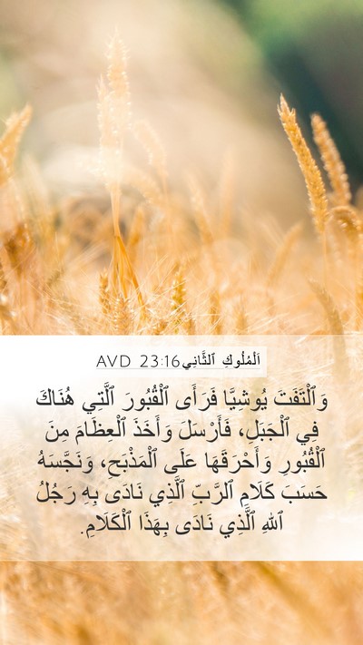 اَلْمُلُوكِ ٱلثَّانِي 23:16 AVD Bible Verse Image