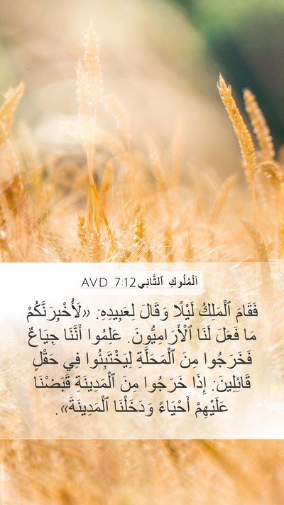 اَلْمُلُوكِ ٱلثَّانِي 7:12 AVD Mobile Phone Wallpaper - فَقَامَ ٱلْمَلِكُ لَيْلًا - Mobile Bible Verse Wallpaper