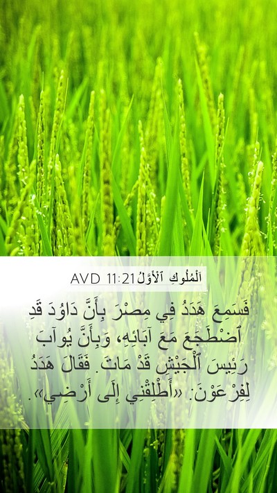 اَلْمُلُوكِ ٱلْأَوَّلُ 11:21 AVD Bible Verse Image