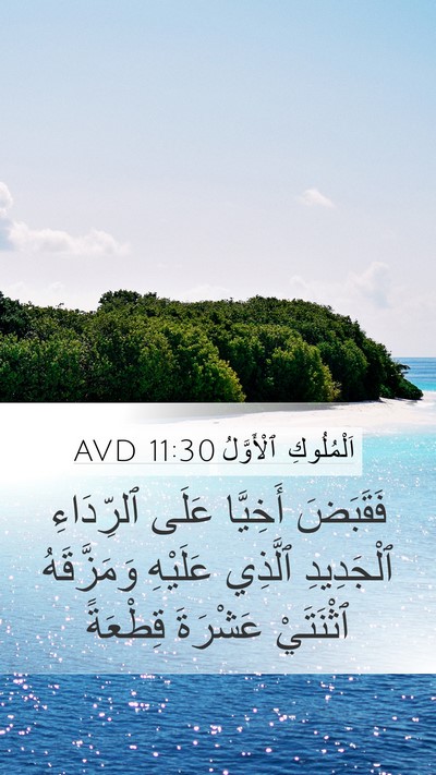 اَلْمُلُوكِ ٱلْأَوَّلُ 11:30 AVD Bible Verse Image