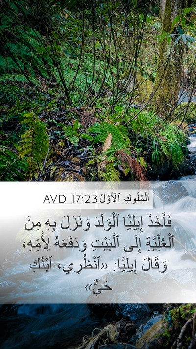 اَلْمُلُوكِ ٱلْأَوَّلُ 17:23 AVD Bible Verse Image