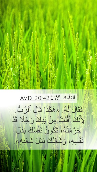 اَلْمُلُوكِ ٱلْأَوَّلُ 20:42 AVD Bible Verse Image