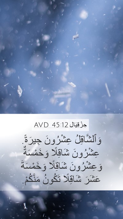 حِزْقِيَال 45:12 AVD Bible Verse Image