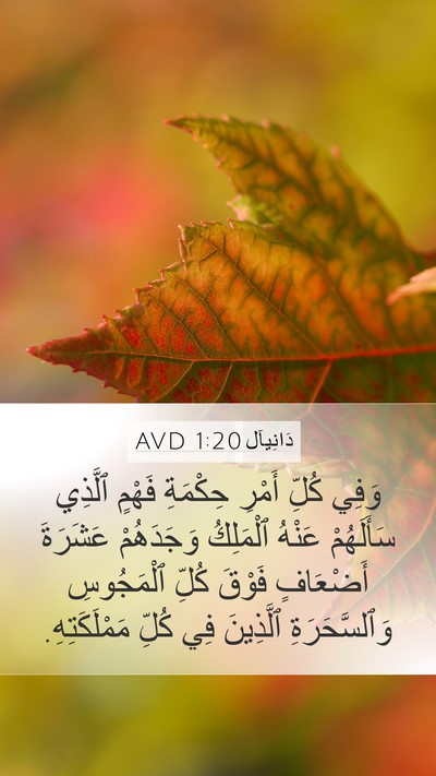 دَانِيآل 1:20 AVD Bible Verse Image