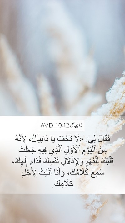 دَانِيآل 10:12 AVD Bible Verse Image