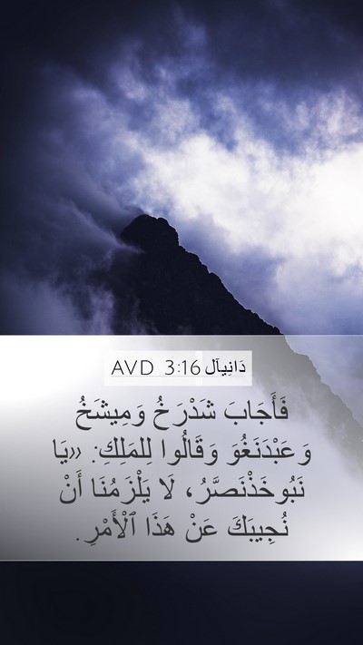 دَانِيآل 3:16 AVD Bible Verse Image
