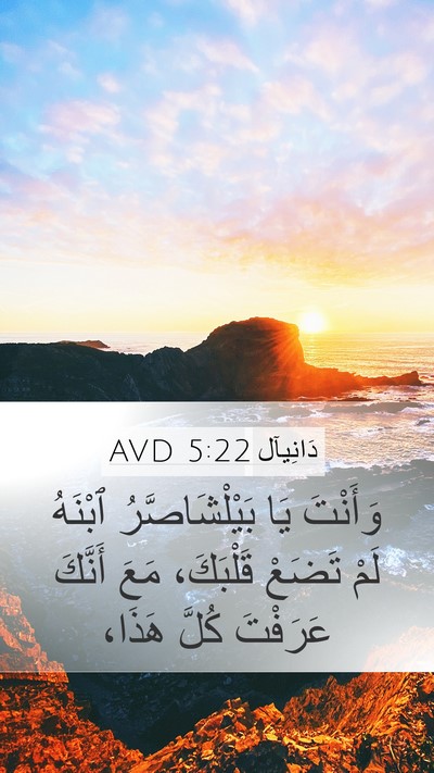 دَانِيآل 5:22 AVD Bible Verse Image