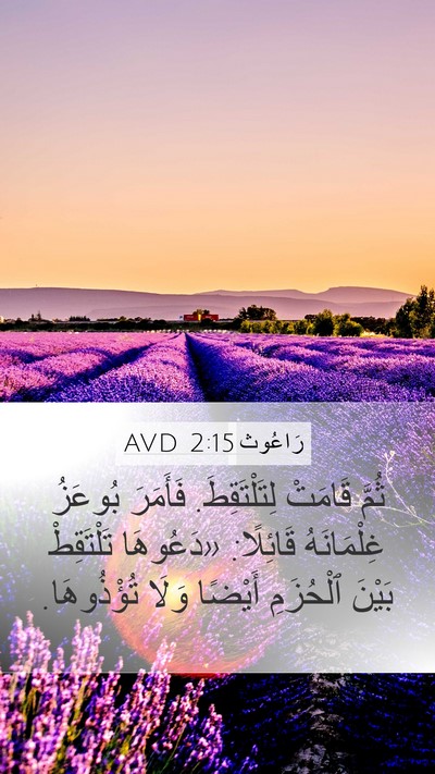 رَاعُوث 2:15 AVD Bible Verse Image